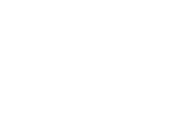 logo_micheliN